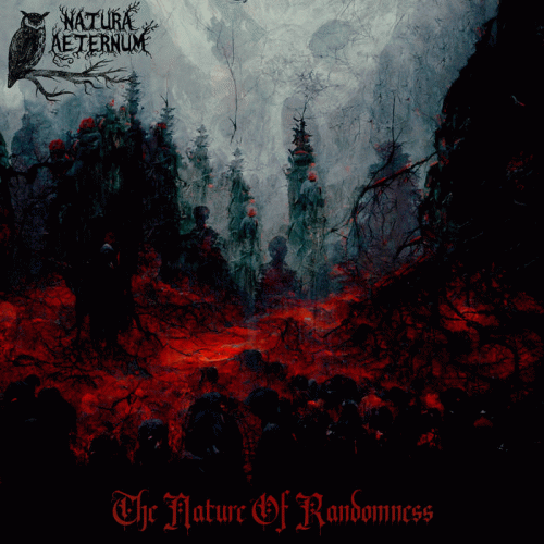 The Nature of Randomness